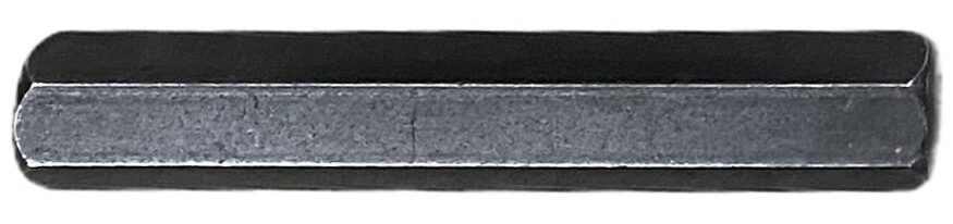 Bison Bit